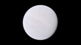 venus-orbit.jpg