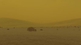 venus-surface.jpg