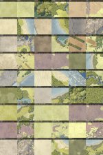 28-closeups.jpg