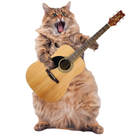 Guitarkittens