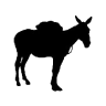 Mule
