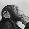 FreeThinker