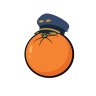 Pilot Orange