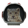 hutt