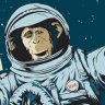 Herbal Space Program