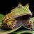 WideFrog